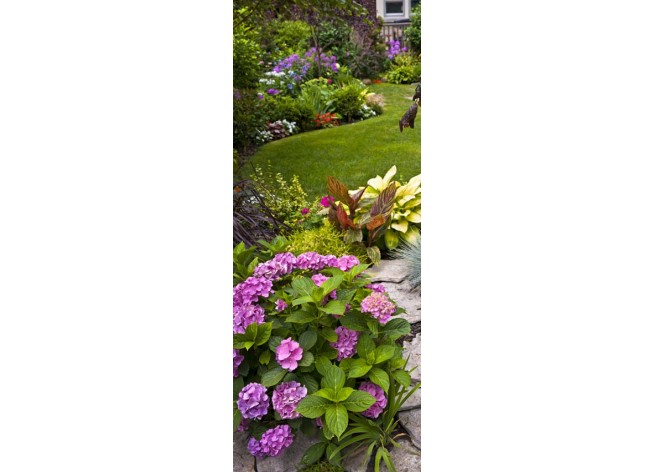 Наклейка на дверь Пышный сад с клумбой и красочными растениями